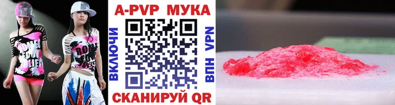 A PVP СК Камышин