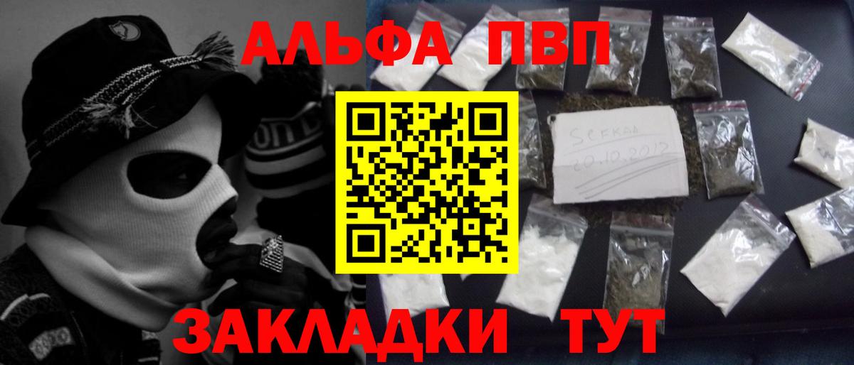 Alfa_PVP СК Камышин