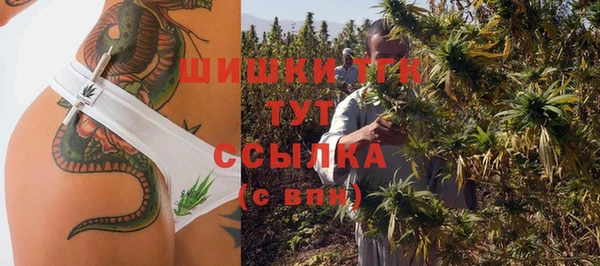 хмурый Липки