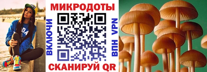 Галлюциногенные грибы мицелий Камышин
