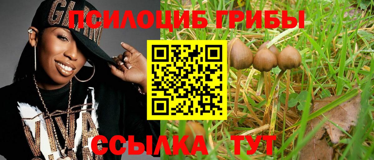 Галлюциногенные грибы прущие грибы Камышин