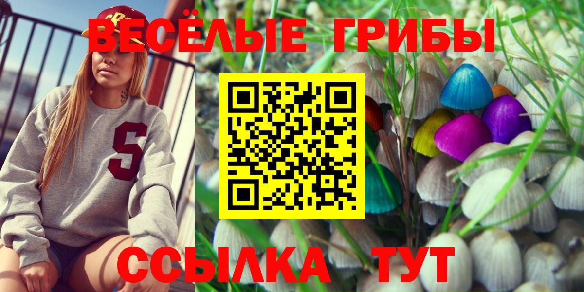 Псилоцибиновые грибы GOLDEN TEACHER  Вход с VPN  наркотики  Камышин 